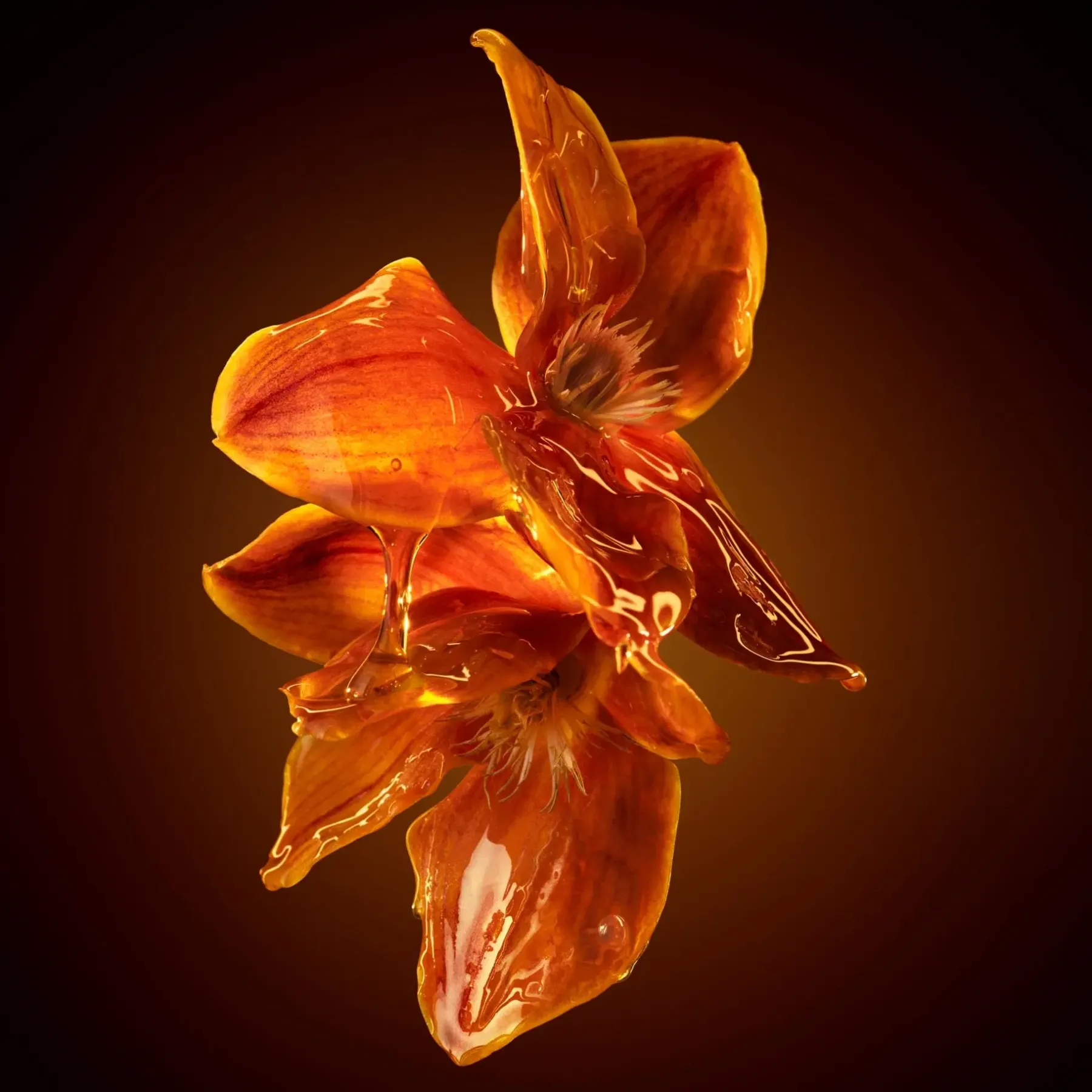 Discount Hugo Boss The Scent Intense for Her EdP 50 ml -tuoksu Hajuvedet