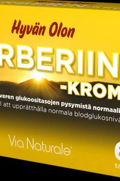 Best Hyvän Olon Berberiini-Kromi 60 tabl Erityisvalmisteet