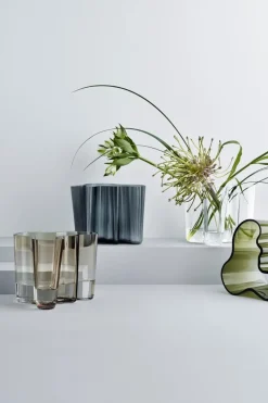 Iittala Maljakot<Aalto maljakko 16 cm, kirkas
