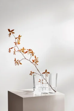 Iittala Maljakot<Aalto maljakko 16 cm, kirkas