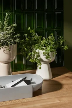 Iittala Kukkaruukut|Maljakot<Nappula ruukku S 230x155mm valkoinen