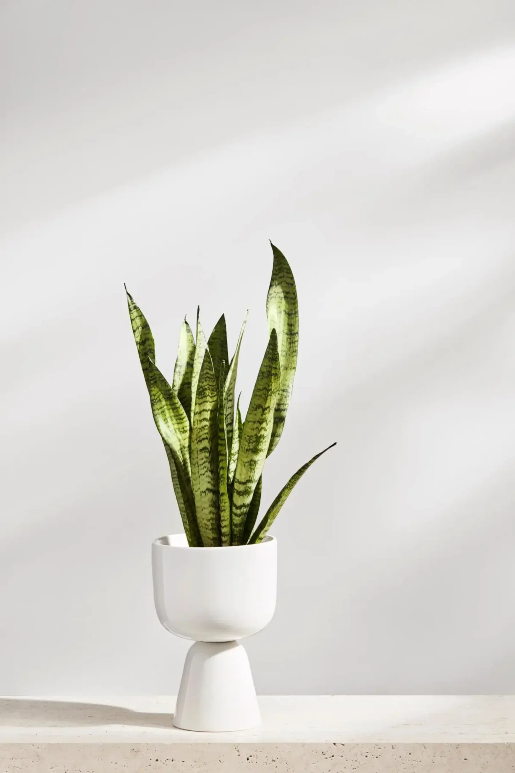 Iittala Kukkaruukut|Maljakot<Nappula ruukku S 230x155mm valkoinen