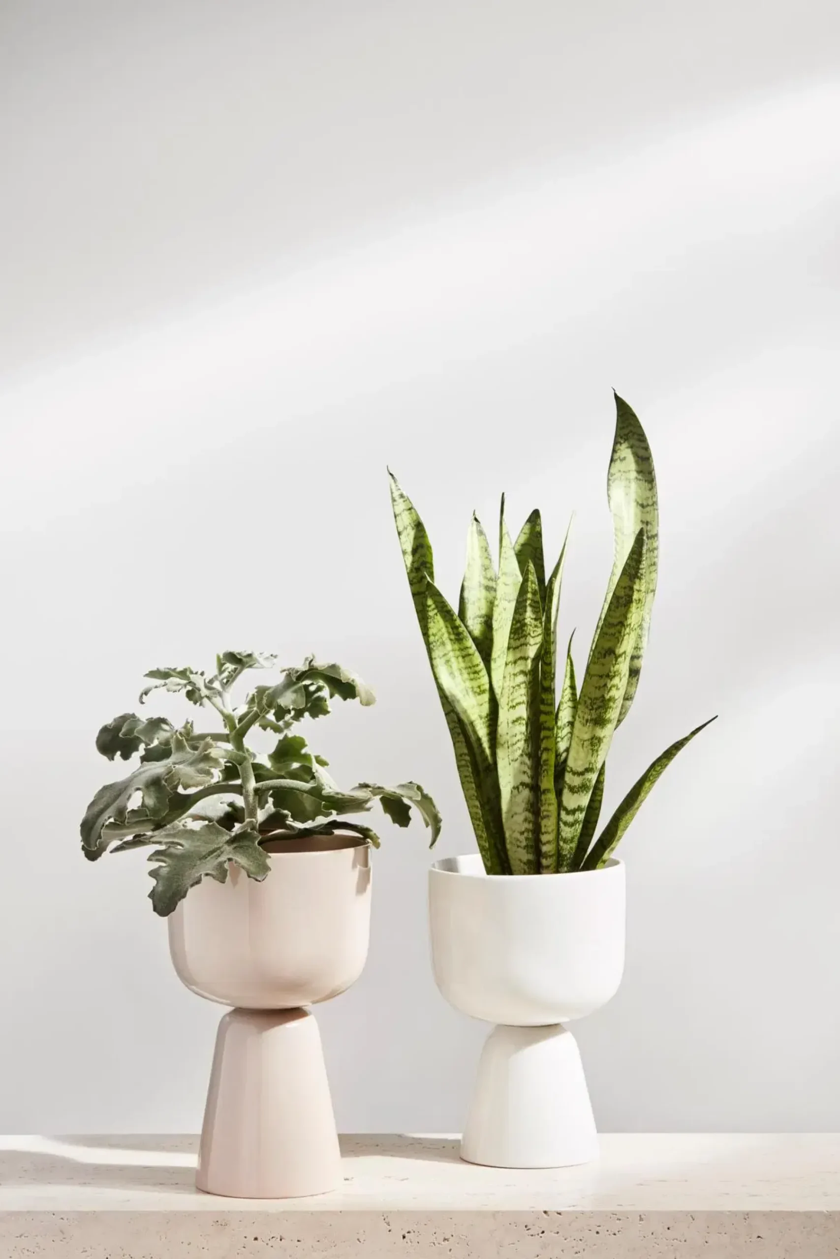 Iittala Kukkaruukut|Maljakot<Nappula ruukku S 230x155mm valkoinen