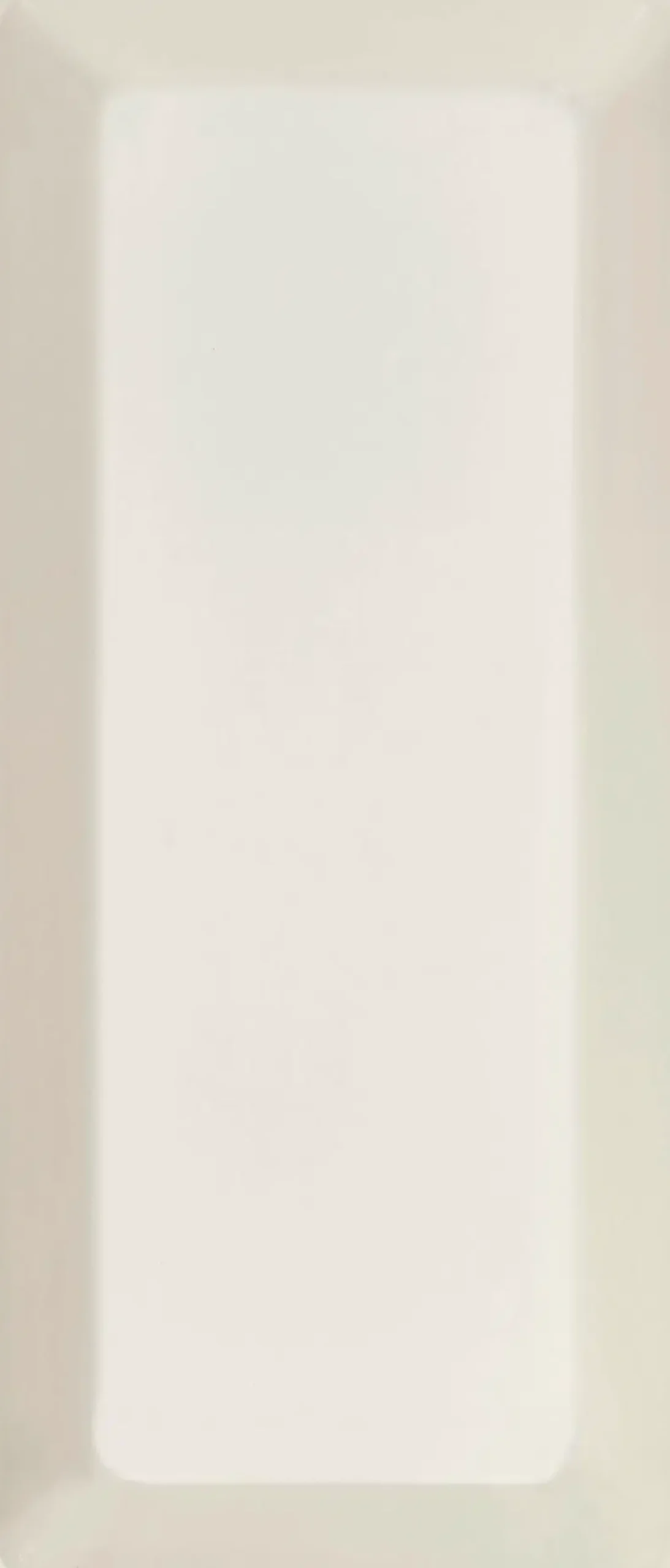 Hot Vati Teema 16x37cm valkoinen Tarjoiluastiat