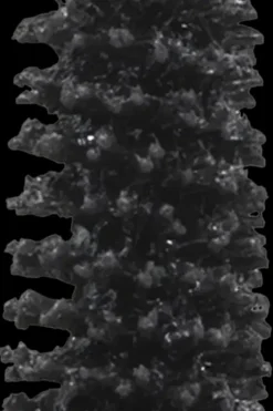 Superhero™ Mascara 9 ml Silmämeikit