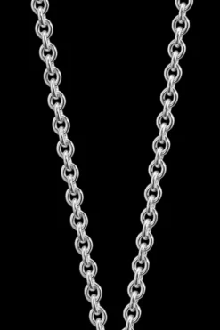 Best Amuletti-riipus Aurinkoleijona iso hopea Korut