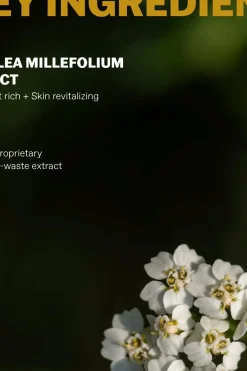 Men's Anti-aging Multidefender Recipe kosteusvoide kasvoille ja silmänympärysiholle 50ml Ihonhoito