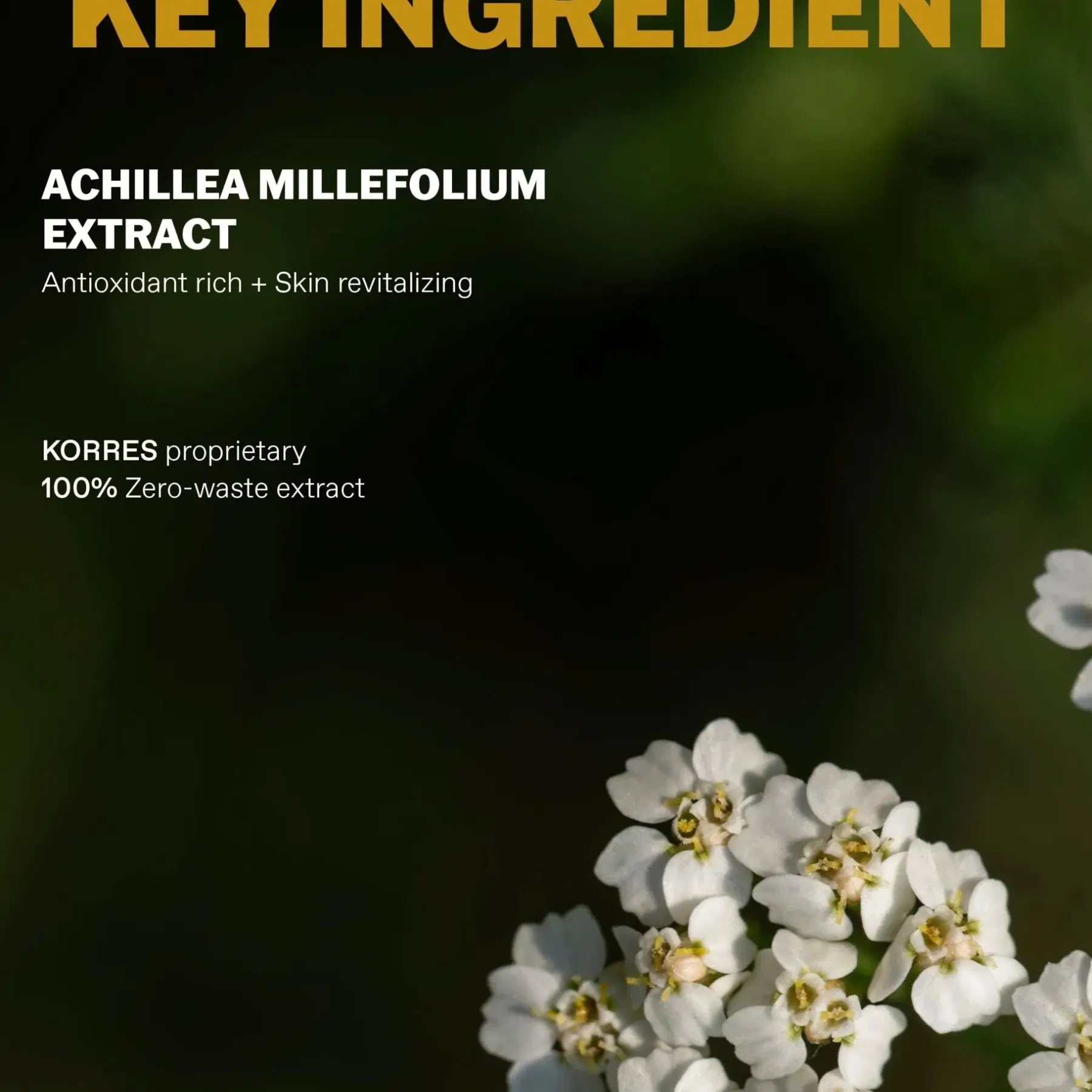 Men's Anti-aging Multidefender Recipe kosteusvoide kasvoille ja silmänympärysiholle 50ml Ihonhoito