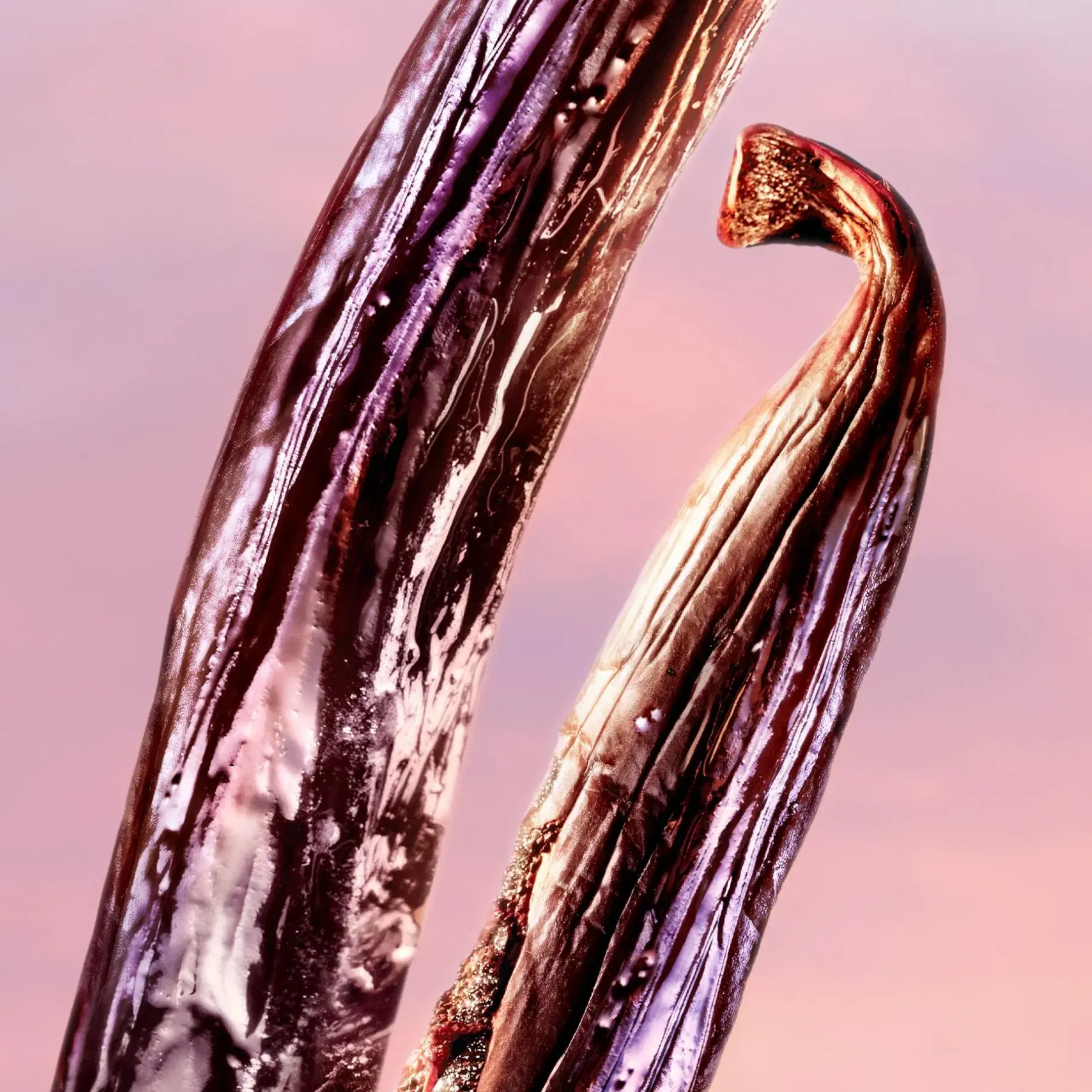 Hot La vie est Belle Vanille Nude 30 ml -tuoksu Hajuvedet