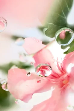 Lancôme Hajuvedet<Les Ô Over the Top EdT 100 ml -tuoksu