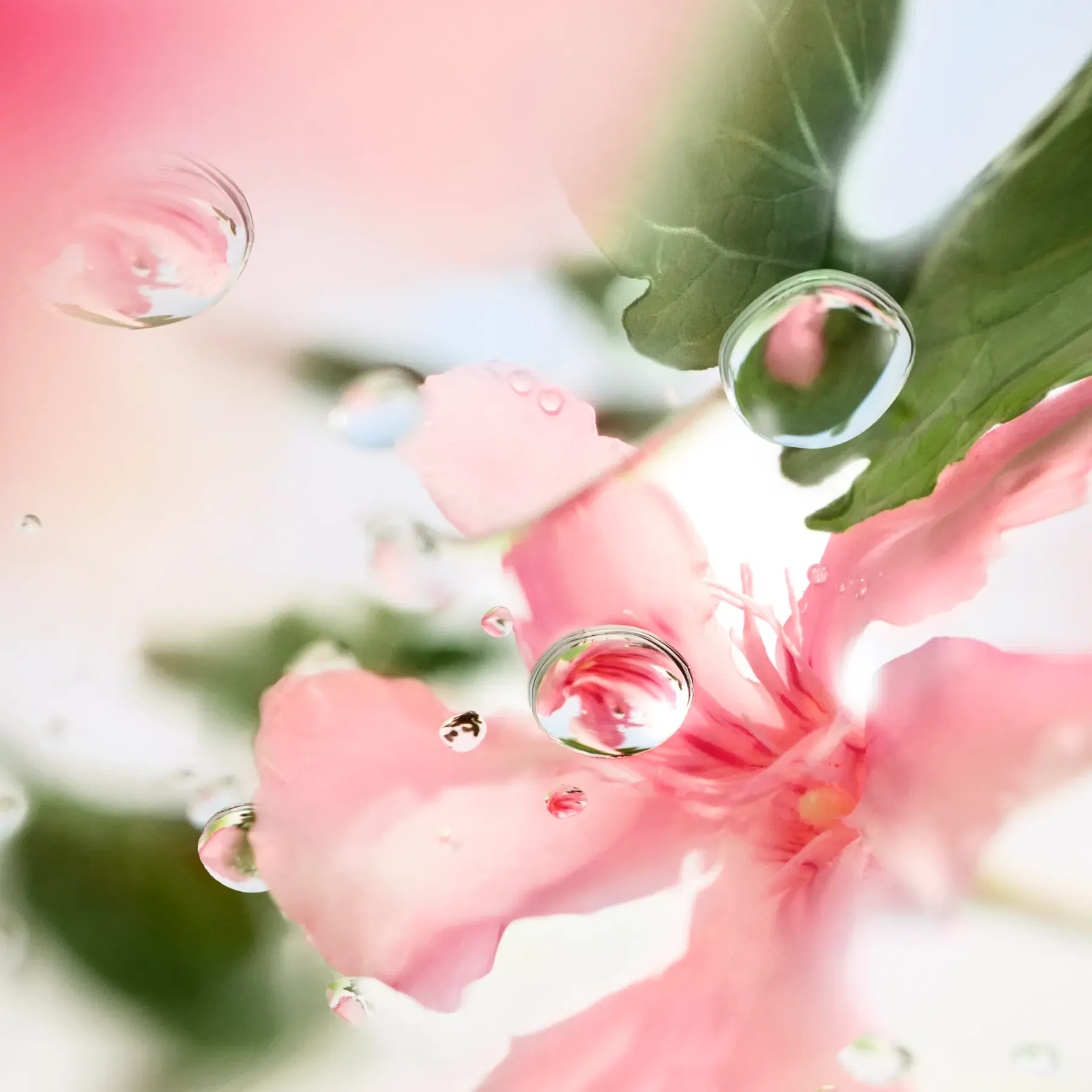 Lancôme Hajuvedet<Les Ô Over the Top EdT 100 ml -tuoksu