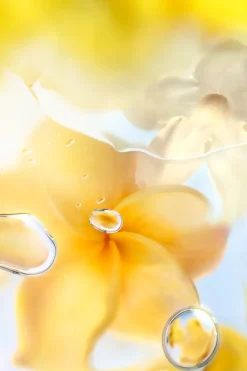 Hot Les Ô Zenith EdT 100 ml -tuoksu Hajuvedet