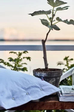 Lexington Company Tyynyliinat<Lexington Pin Point tyynyliina 50x60cm harmaa/valkoinen