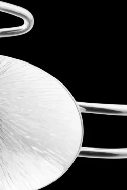 Clearance Lily rannerengas Korut