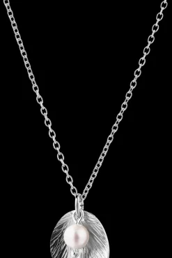 Best Lily riipus Korut