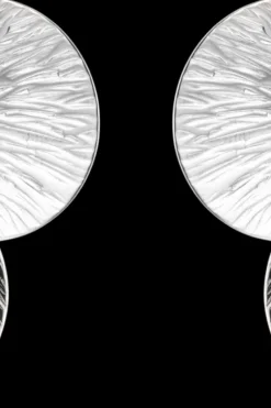 Tanssi korvakorut Korut