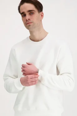 Clearance Cove Collegepaita Colleget