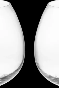 Hot Konjakkilasi 44 cl 2 kpl Lasit