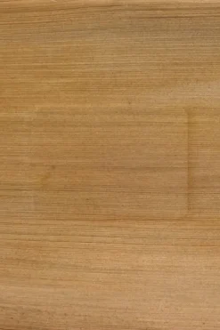 Clearance Palmunlehtilautanen 16x24 cm 10 kpl Kertakäyttöastiat