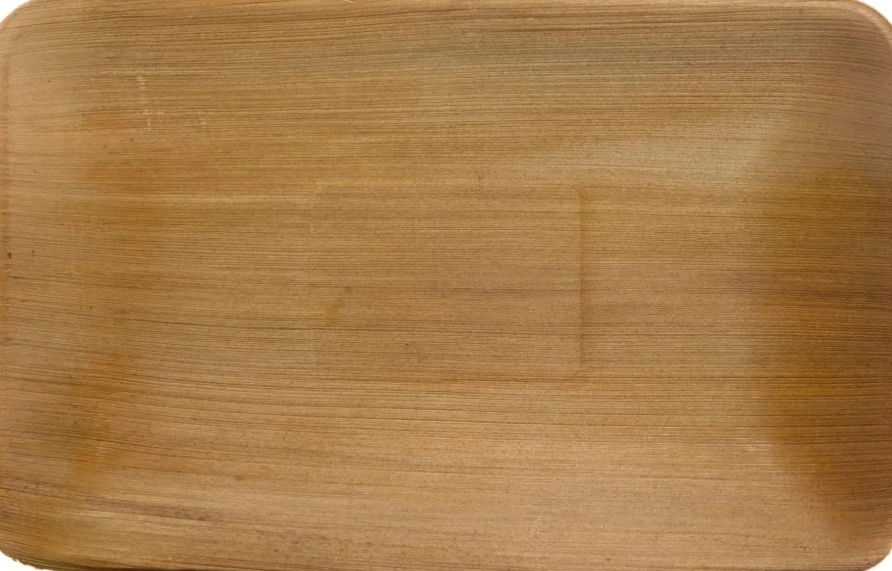 Clearance Palmunlehtilautanen 16x24 cm 10 kpl Kertakäyttöastiat