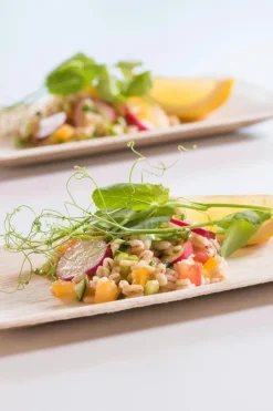 Clearance Palmunlehtilautanen 16x24 cm 10 kpl Kertakäyttöastiat