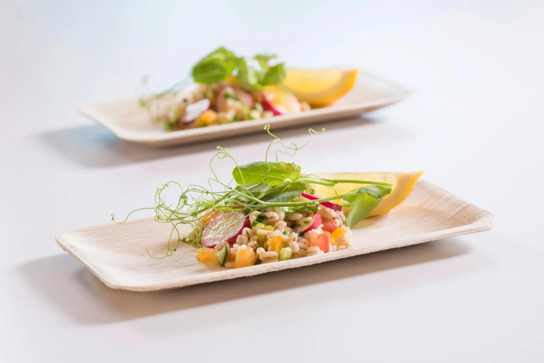 Clearance Palmunlehtilautanen 16x24 cm 10 kpl Kertakäyttöastiat