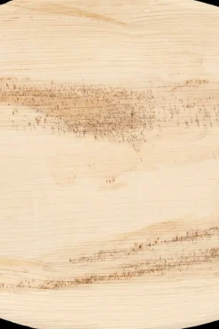 Hot Tarjoilulautanen palmunlehti 25x37 cm 4 kpl Kertakäyttöastiat