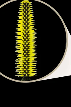 Best Masterpiece mascara Black/Brown 4,5 ml Silmämeikit