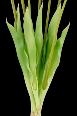 Sisutuskimppu Tulppaani 38x16x5 cm fuksia Koriste-esineet