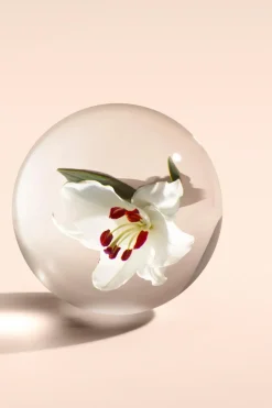 New Heavenly Gingerlily Body Lotion vartalovoide 300 ml Vartalonhoito