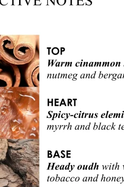 Best Mesmerising Oudh Accord & Gold Body Lotion vartalovoide 300 ml Vartalonhoito