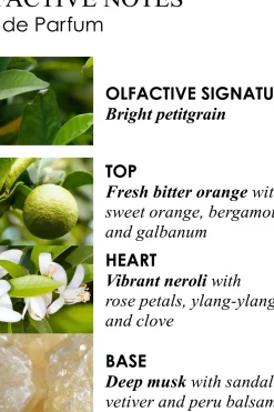 Best Orange & Bergamot EdP tuoksu 100 ml Hajuvedet