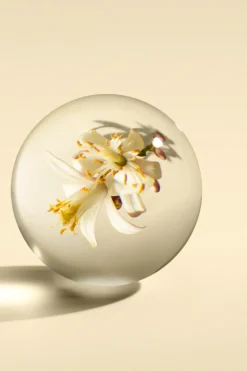 Molton Brown Vartalonhoito<Orange & Bergamot Bath & Shower Gel suihkugeeli 300 ml