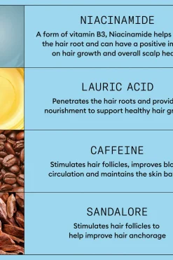 Clearance Anti-Hairloss Shampoo 240 ml Shampoot