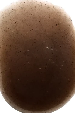 NOBE Nordic Beauty Kasvojenhoito<Forest Elixir™ Microbiome Enriching Gel Moisturizer voide 50 ml