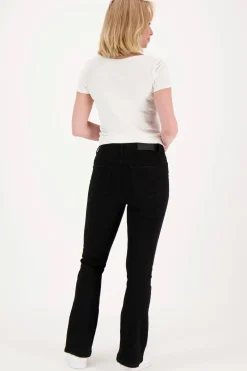 Noisy May Farkut<NMSallie farkut