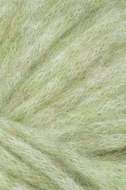 Best lanka Aino 50 g sprout 3011 Villalangat