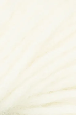 Novita Villalangat<lanka Aino 50 g swan 0081