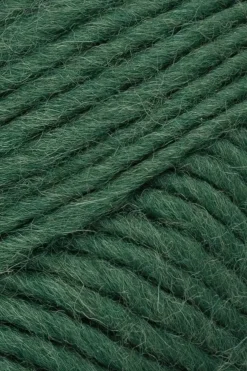 Novita Villalangat<lanka Hygge Chunky 100 g metsä 380