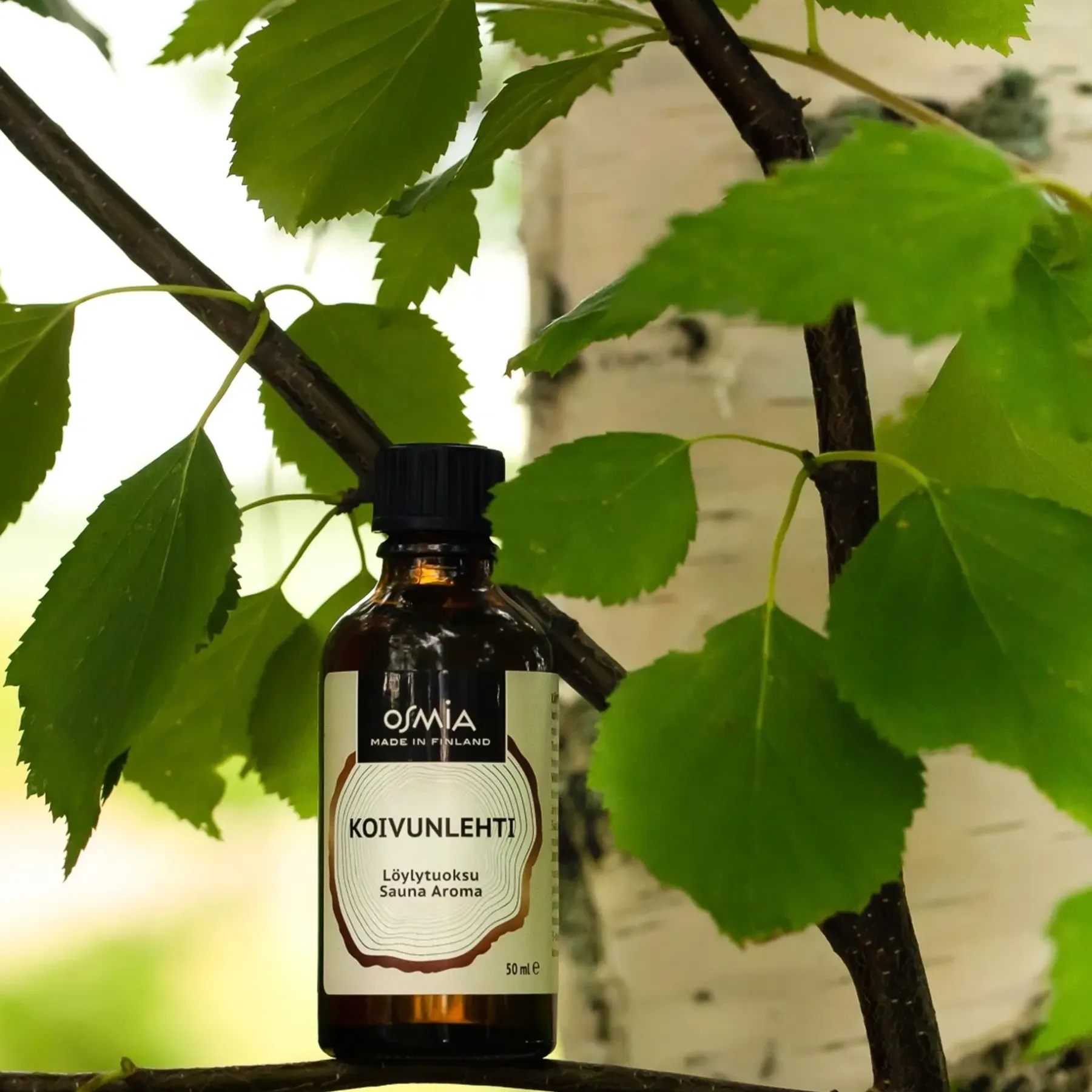 Osmia Muut Kylpyhuonetarvikkeet|Sauna<Löylytuoksu Koivunlehti 50ml