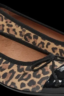 Pavement Avokkaat<avokkaat