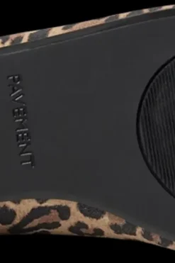 Pavement Avokkaat<avokkaat