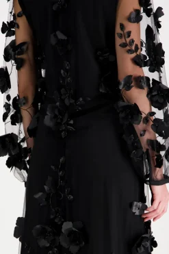 Hot PBO Alessio mekko Mekot