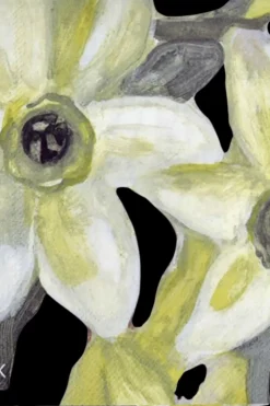 Pentik Servetit Ja Lautasliinat<25cm Narsissi keltainen 20kpl lautasliina