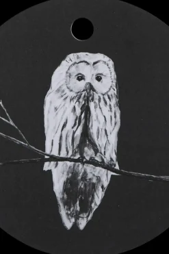 Miiko Keittiötarvikkeet<Pöllö leipälaatikko korkea 24cm