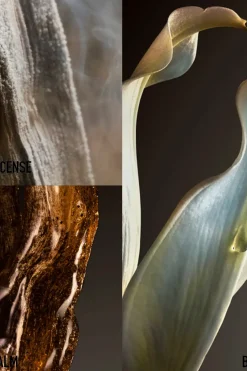 Rabanne Hajuvedet<Fame Couture EdP Limited Edition -tuoksu 80 ml