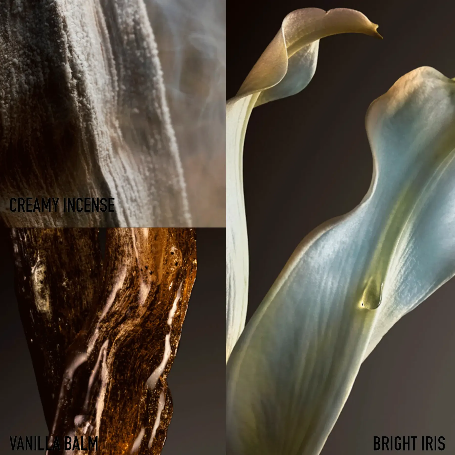 Rabanne Hajuvedet<Fame Couture EdP Limited Edition -tuoksu 80 ml