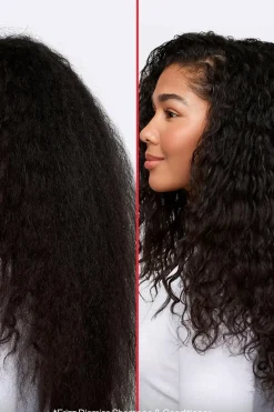 Redken Shampoot|Kampaamotuotteet<Frizz Dismiss Shampoo 300 ml