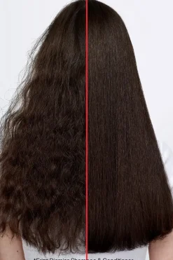 Redken Shampoot|Kampaamotuotteet<Frizz Dismiss Shampoo 300 ml