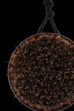 Online Vartaloharja bambu tumma Muut Kylpyhuonetarvikkeet